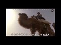 刀郎 王洛宾 哪里来的骆驼队 地道的刀郎嗓音 浓郁的西域风情 刀郎 Daolang 王洛宾 经典老歌 哪里来的骆驼队 刀郎 王洛宾 哪里来的骆驼队 地道的刀郎嗓音 浓郁的西域风情 刀郎 Daolang 王洛宾 经典老歌 哪里来的骆驼队