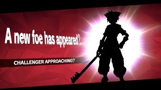 A New Foe has Appeared? Sora (moveset and details predictions)