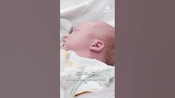 Surah Ash-Shams Omar Alkalawy   سورة الشمس عمر  #quran القلعاوي