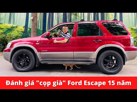 Video: Ford Escape có màu gì?