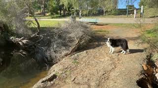 DWELLINGUP JULY 23