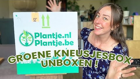 GROENE KNEUSJESBOX PLANTEN UNBOXING | PLANTJE.NL | 11 PLANTEN VOOR €24,95 | 2022 | Zeg Maar Mich