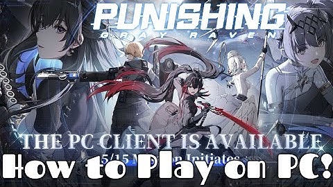 Guide to playing PC Client and mapping controllers! Punishing Gray Raven