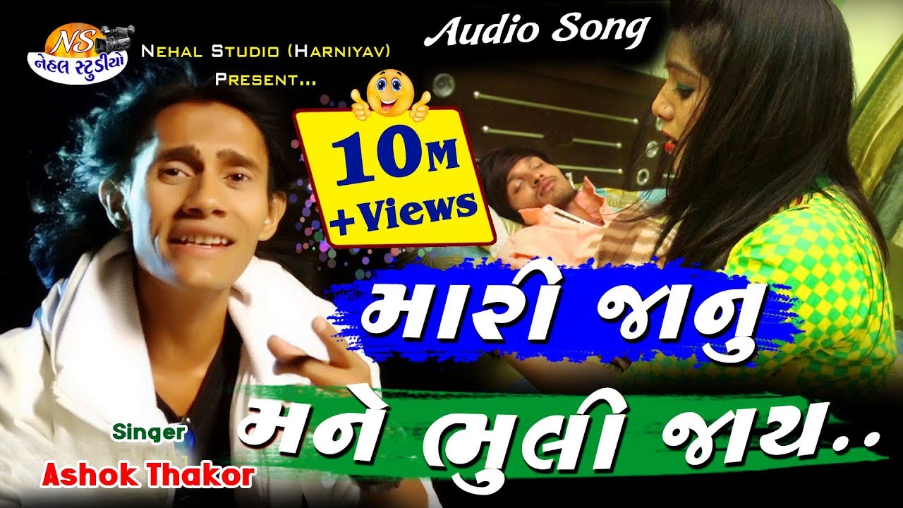 Mari Janu Mane Bhulijay ll Ashok Thakor ll AUDIO SONG NEHAL STUDIO