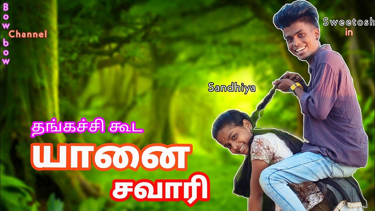 யானை சவாரி | Anna Thangachi Video | Sweetosh and Sandhiya | tamil Sister fun  | Bow bow | Channel