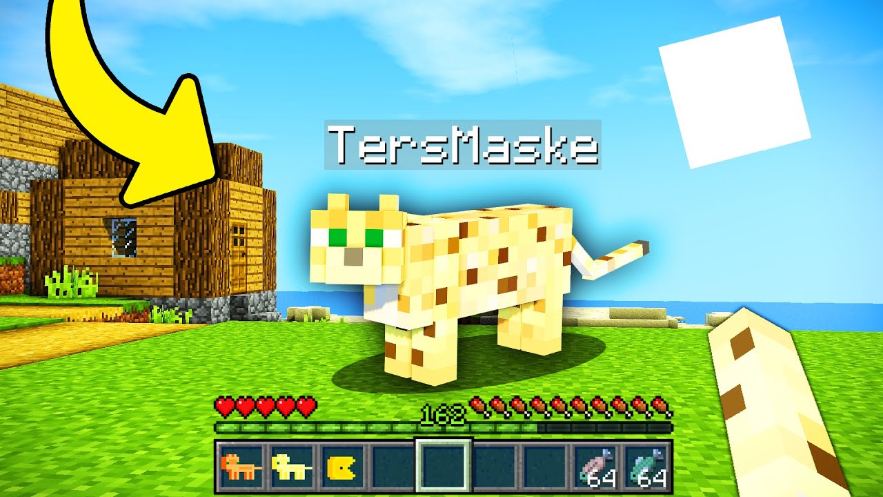 Minecraft Ta Kedi Olarak Oynadim Minecraft Youtube