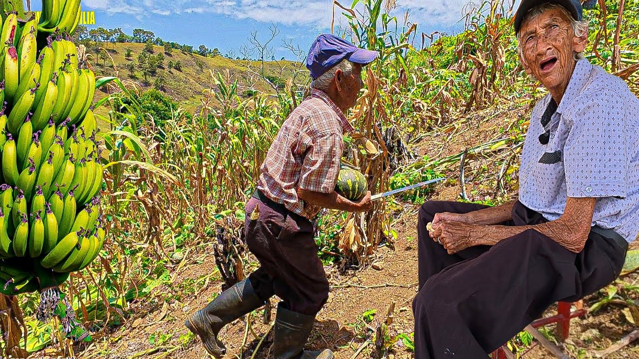 Maximo y marcos en el campo buscando mais para hacer un majarete