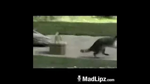 #LoooL