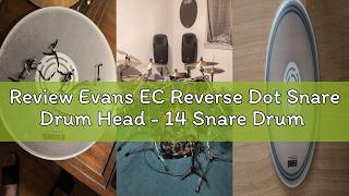 Review Evans EC Reverse Dot Snare Drum Head - 14 Snare Drum Head - Featuring Reverse Dot for Durabil