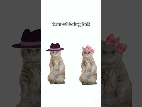 Kitty has emotional
