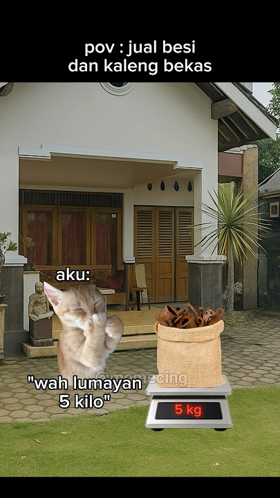 mana yg betul ni #meme #memekucing #kucing #kucinglucu #memecat #shorts #catlovers