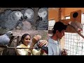 Story Of Michel The African Grey parrot / Excellent Breeding Progress Of Congo African Grey Parrot.