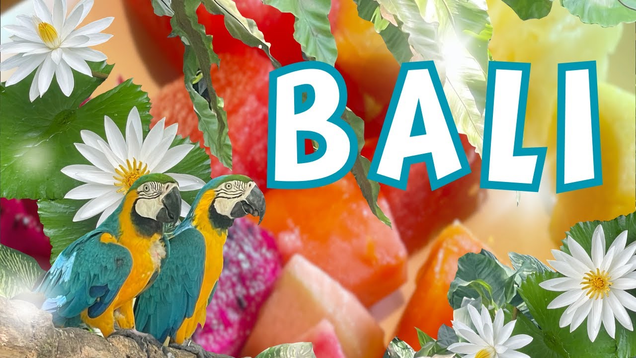 〔最新版〕バリ島🇮🇩女ひとり旅✈️ 今回もBALIの魔法にかかった6泊7日！〔2025年10月11月〕