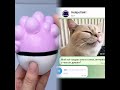 Когда бот отвечает с характером 😹 #чат #юмор #диалог