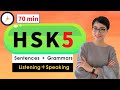 8  hsk 5    advanced chinese vocabulary with sentences and grammar