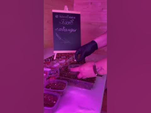 Посев лаванды, без стратификации! 💜 - YouTube