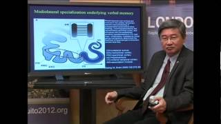 Memory and Epilepsy Surgery - CT Tan