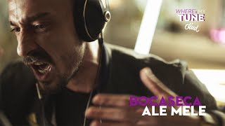 Bocaseca - Ale mele | Diud, where`s my tune?