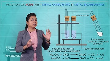 Acids Bases and Salts - 4| Reaction of Acids with Metal Carbonates and Metal Bicarbonates|  Class 10