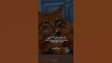 قران كريم #quran #المصحف #اكسبلور #لايك #duet #دويتو