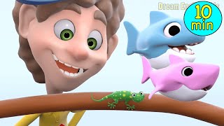 baby shark more nursery rhymes kids songs dream english kids