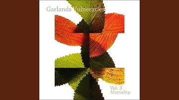 Mortality Six (I Am the Whole Tree)