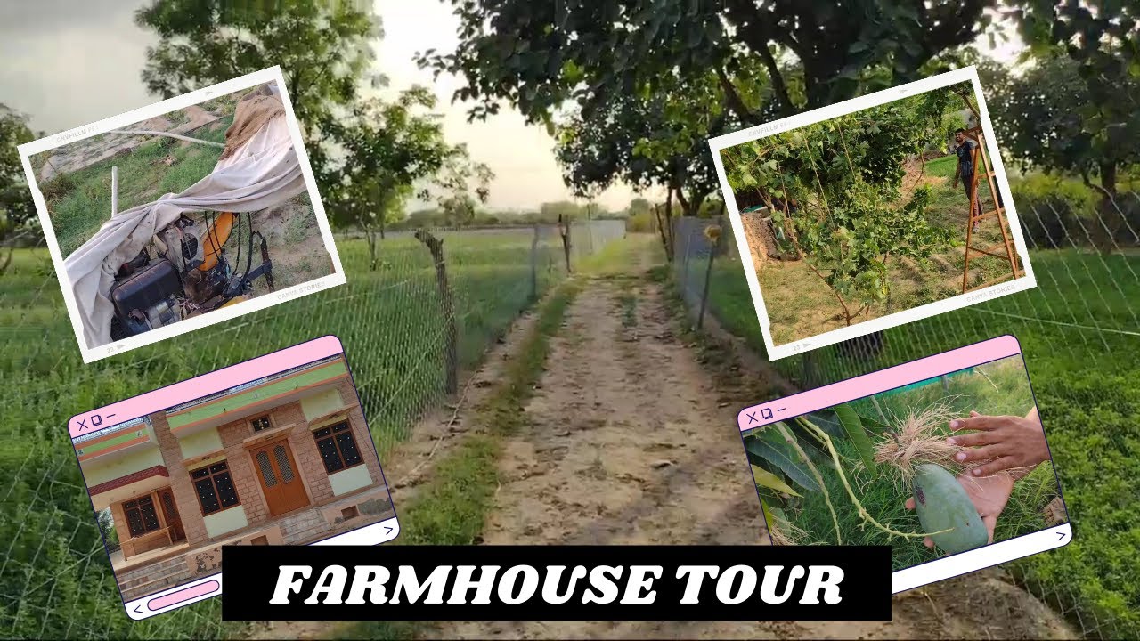 Beautiful and Traditional Farmhouse in RAJASTHAN FARMHOUSE TOUR🔥
