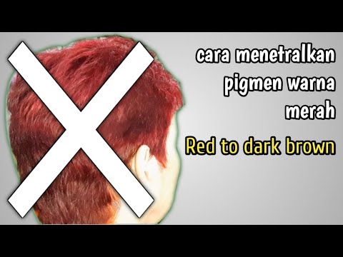 HAIR DYE red to dark brown