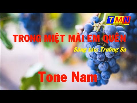 [KARAOKE] Trong miệt mài em quên - Tone Nam (Mi giáng trưởng) - Cover by TMN