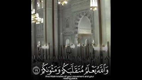 {فَاعْلَمْ أَنَّهُ لَا إِلَٰهَ إِلَّا اللَّهُ تلاوة في قمة الروعة للشيخ ياسر الدوسري.من سورة محمد..