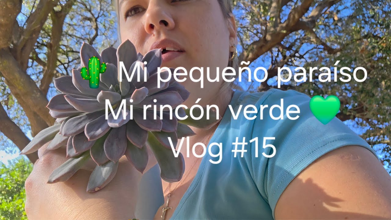 Mi pequeño jardincito de suculentas 🌿✨ Plantas que me llenan de paz