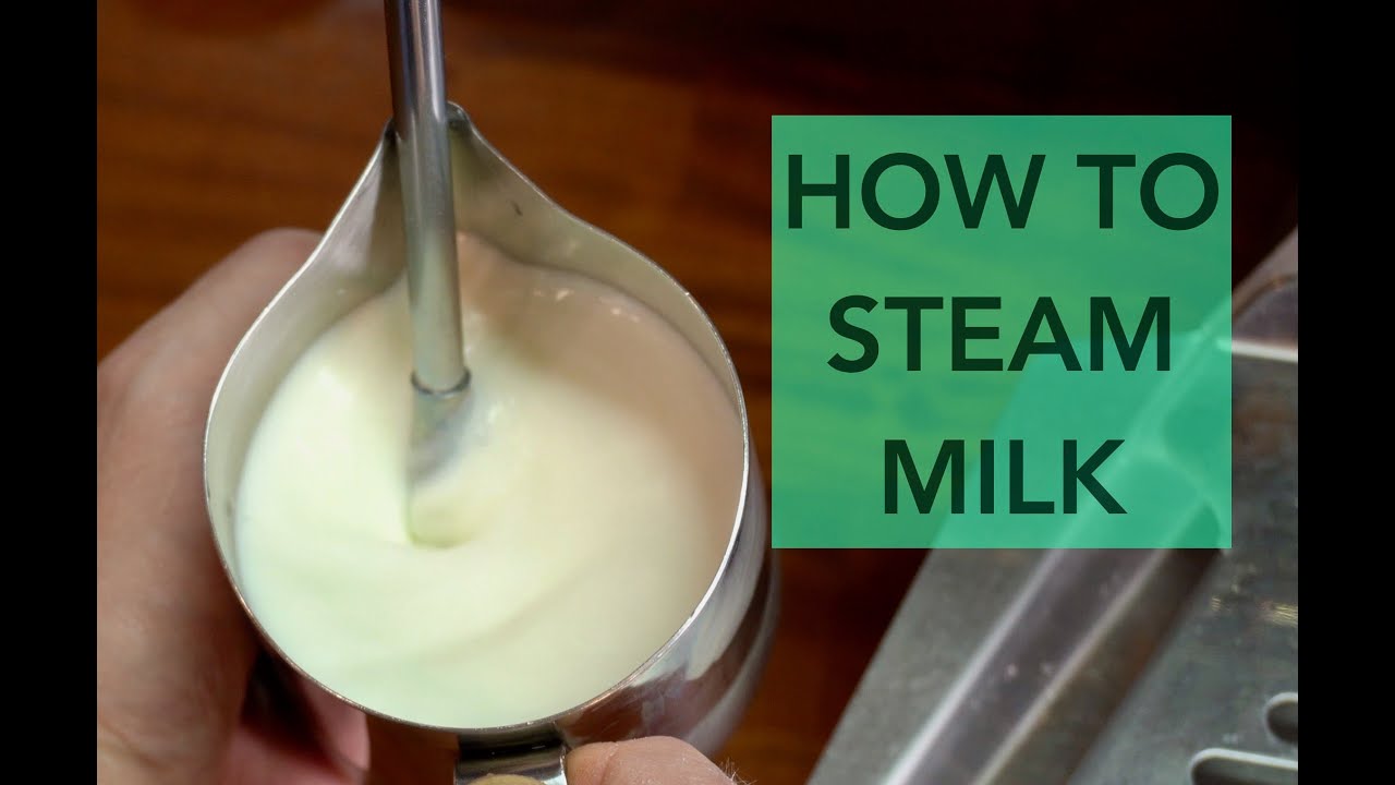 5 Steps How to Steam the Perfect Barista Style Milk