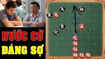 Nước Cờ ĐÁNG SỢ Của Kỳ Thủ Số 1 VN Lại Lý Huynh Chiến Đấu Giang Hồ Vang Danh Trung Quốc