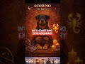 Scorpio Weekly Horoscope | Feb 16 – Feb 22 ♏️
