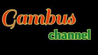 Gambus jalsah madura-Abinih duwe' // Hilmy Mufida @gambus_channel