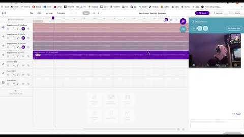 SoundTrap Video Audio Workspace Sharing