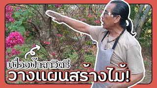 พาเฟื่องฟ้าสาวิตรีขึ้นกระถาง พร้อมวางแผนการสร้างไม้! | Bonsai