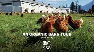 BC Egg - Organic Barn Tour