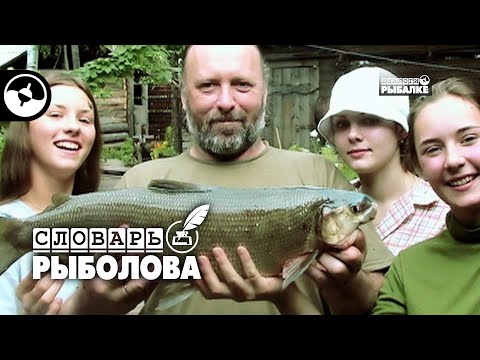 Рыболовные термины. Эмпирически - Щучья | Словарь рыболова