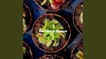 Modish Moods for Thoughtful Vibes