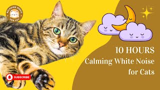 Calming white noise for cats 10 hours 🐱 Relaxing music for cat screenshot 4