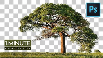 1-Minute Photoshop | How to Cut Out Tree in Photoshop
