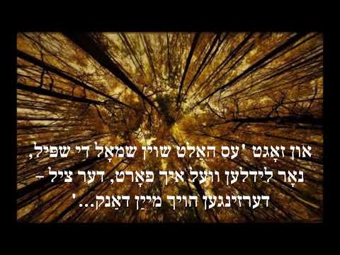 ווערטערפאנג (דער האר פון ליד)                                                    י