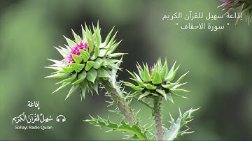 ( 46) تـلاوة خاشعة سورة " الاحقاف "  كاملة يتلوها القارئ | احمد النفيس