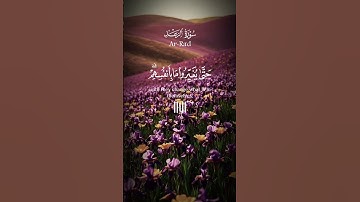 القران الكريم #اكسبلور #اكسبلورهاشتاقات #دويتو #القزابري #duet #المصحف #لايك #الرحمن #حالات_واتس #ا
