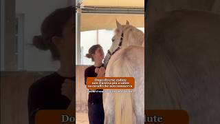 Dopo diverse cadute non riusciva più a salire su cavalli che non conosceva