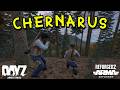 Arma Reforger Reforgedz Bring Back Arma 2 Dayz?!