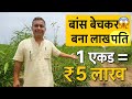 किसान को बना दिया लाखपति! देखिए बांस का जादू” 1 बार लगाओ 50 साल छुट्टी!! 