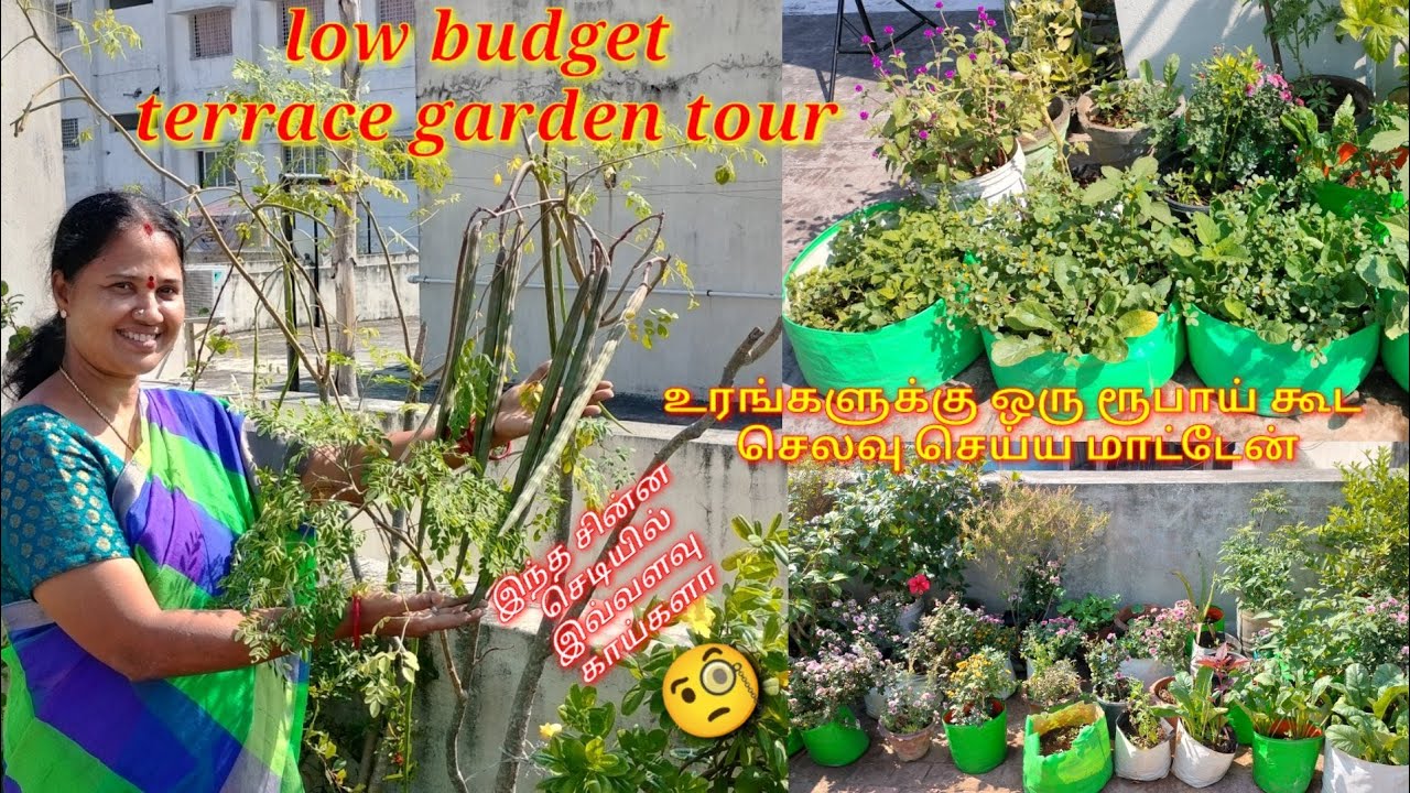 நான் காசு கொடுத்து உரங்கள் வாங்கியதே இல்லை. low budget terrace garden tour 