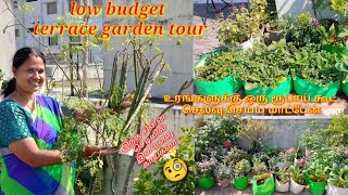 நான் காசு கொடுத்து உரங்கள் வாங்கியதே இல்லை. low budget terrace garden tour #garden #maadithottam
